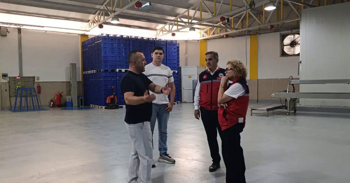 Aydın İnciri'nde Kalite Denetimleri Sürüyor