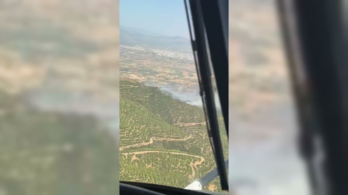 Ödemiş'te Orman Yangını: Havadan ve Karadan Müdahale Sürüyor