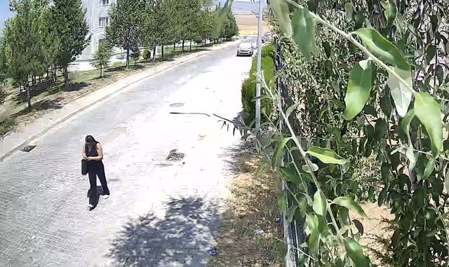 Female suspect trying to deceive elderly man on security camera