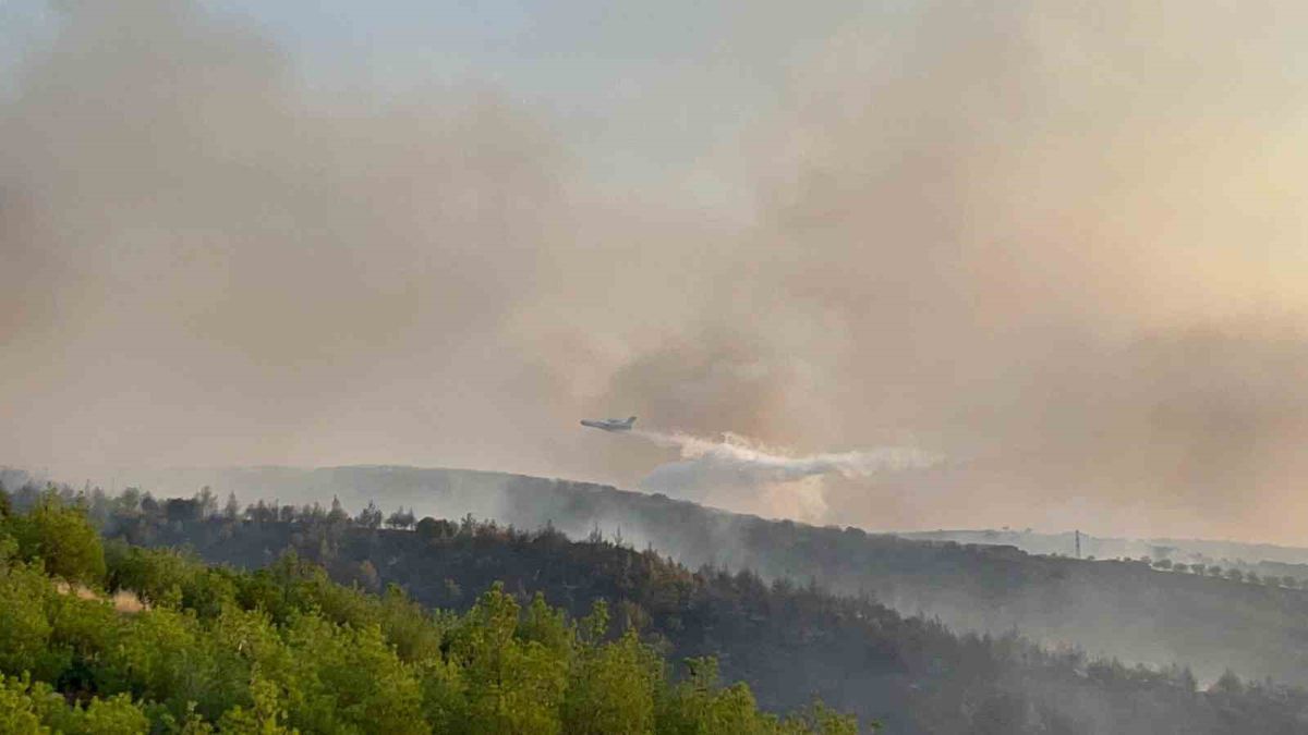 Manisa'da Orman Yangını Riski: 28-30 Ağustos'ta Teyakkuz