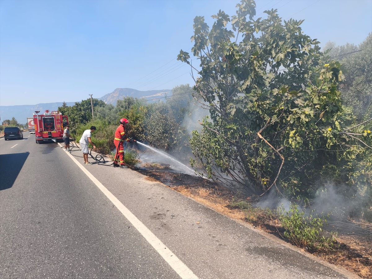 Ula'da yol kenarı yangını ormanlık alana sıçramadan söndürüldü
