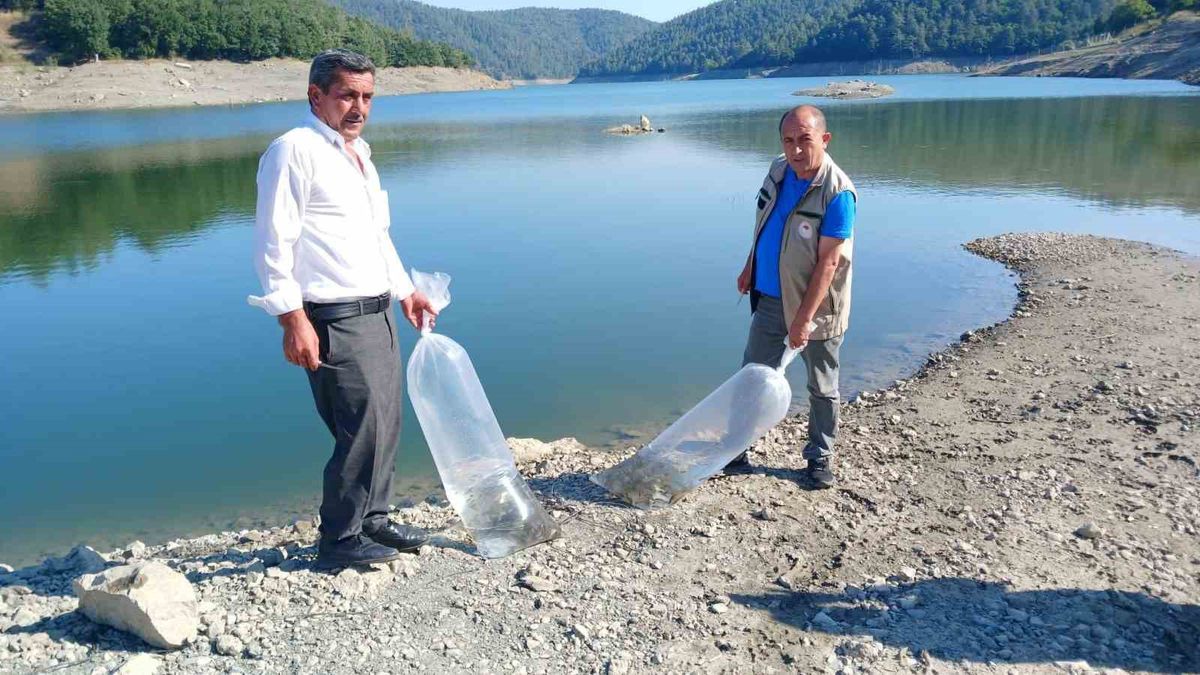 Orhaneli Göletlerine 1 Milyon Yavru Sazan