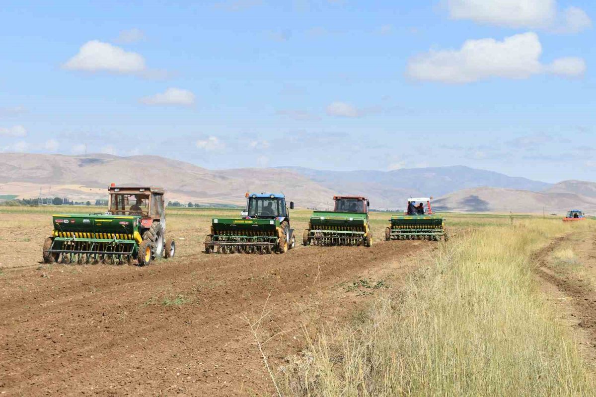 Bayburt'ta 50 Dekarlık Suni Mera Tesisi Oluşturuldu