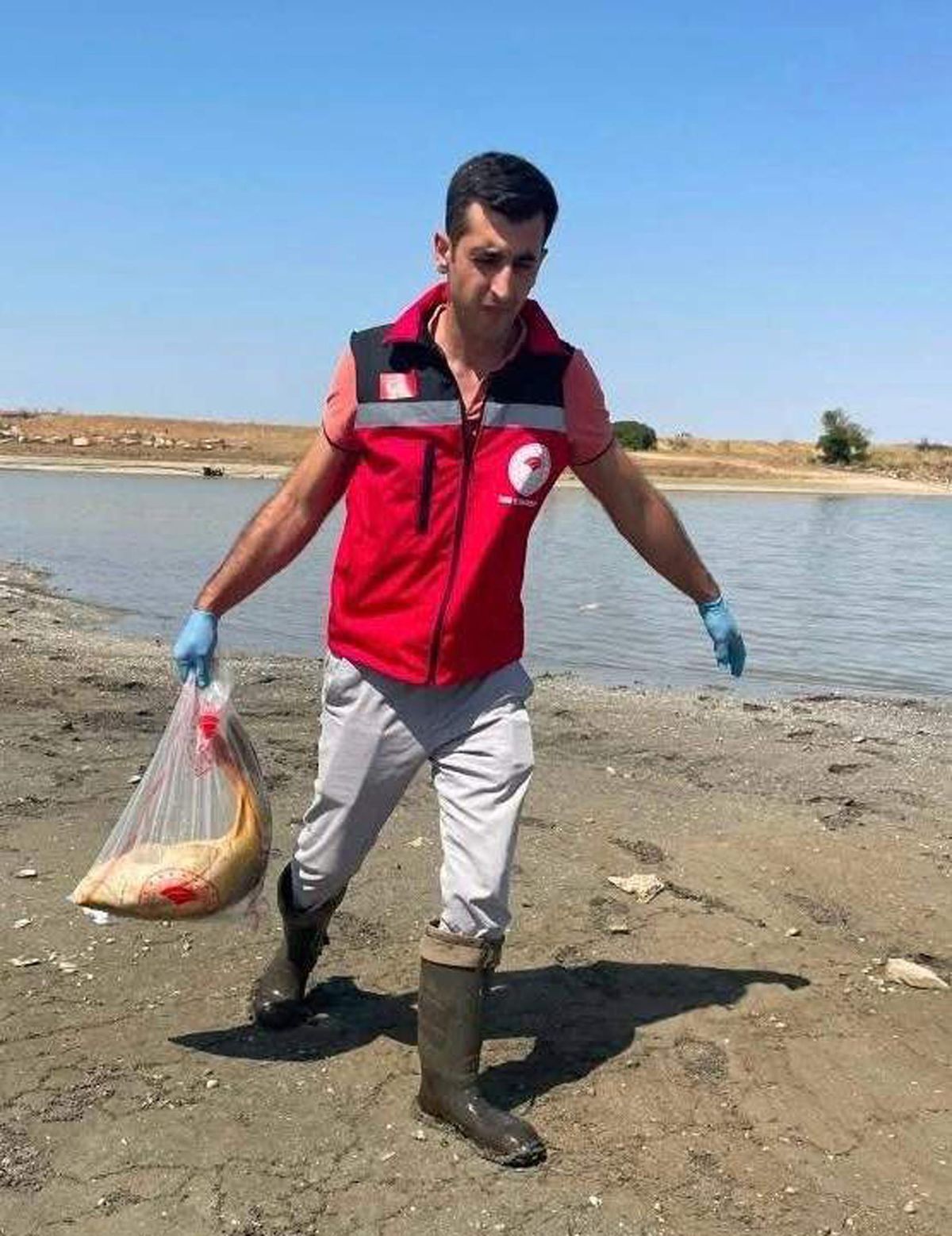Hayrabolu'da Gölette Toplu Balık Ölümleri: İncelem…