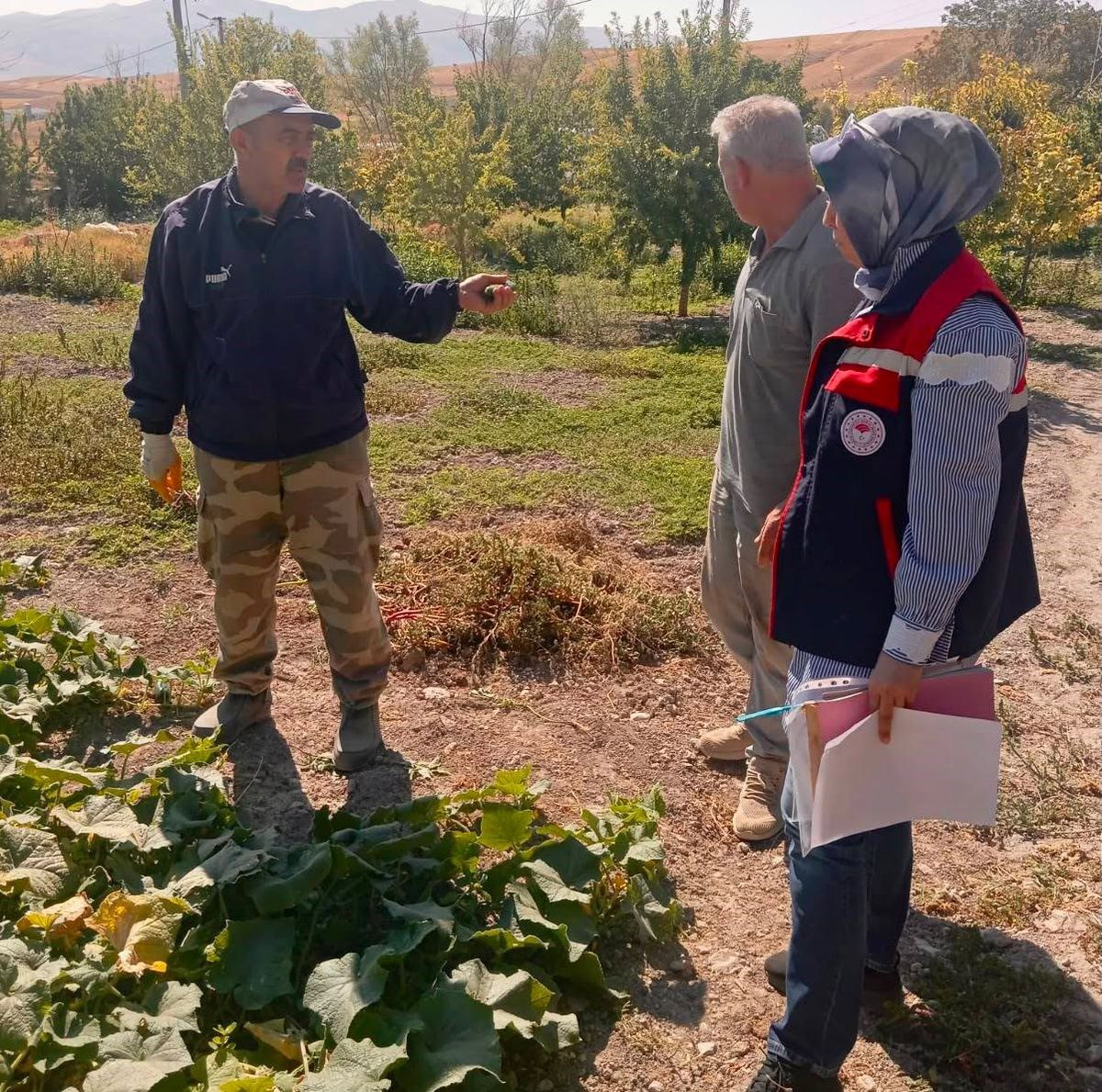 Afyonkarahisar'da Hasat Öncesi Pestisit Denetimleri Sürüyor