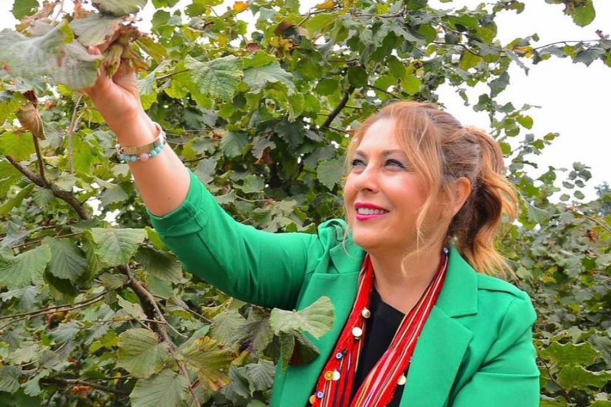 Elvan Işık Gezmiş'ten Fındık Üreticisine Destek Çağrısı: FİSKOBİRLİK ve TMO Göreve