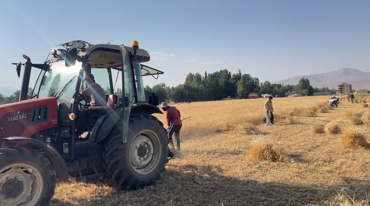 Yüksekova'da Asırlık İmece Geleneğiyle Hasat