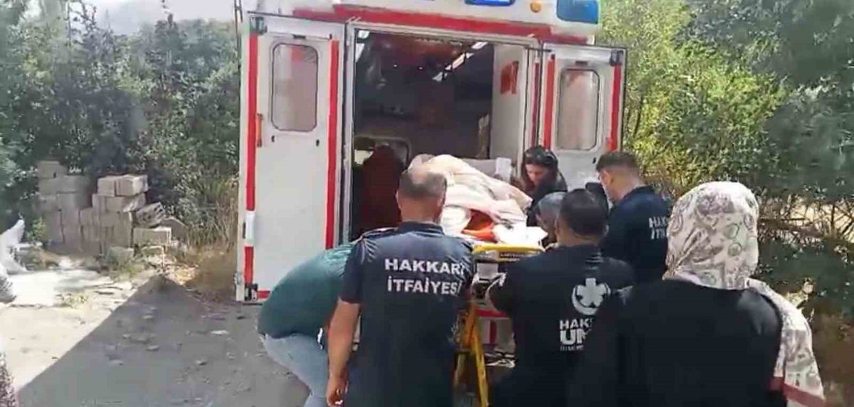 Hakkari'de 140 kiloluk hasta evinden hastaneye taşındı