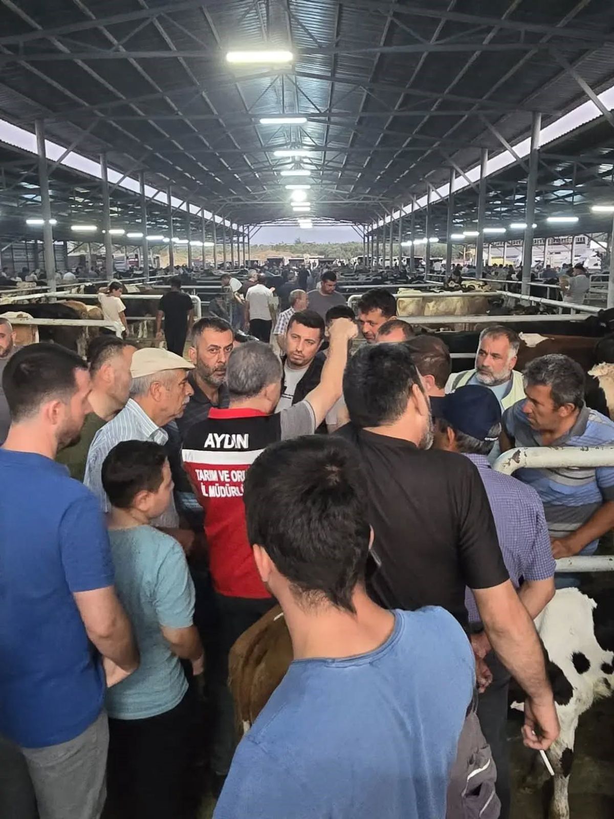 Aydın'da Hayvan Pazarlarında Küpesiz Hayvan Denetimi