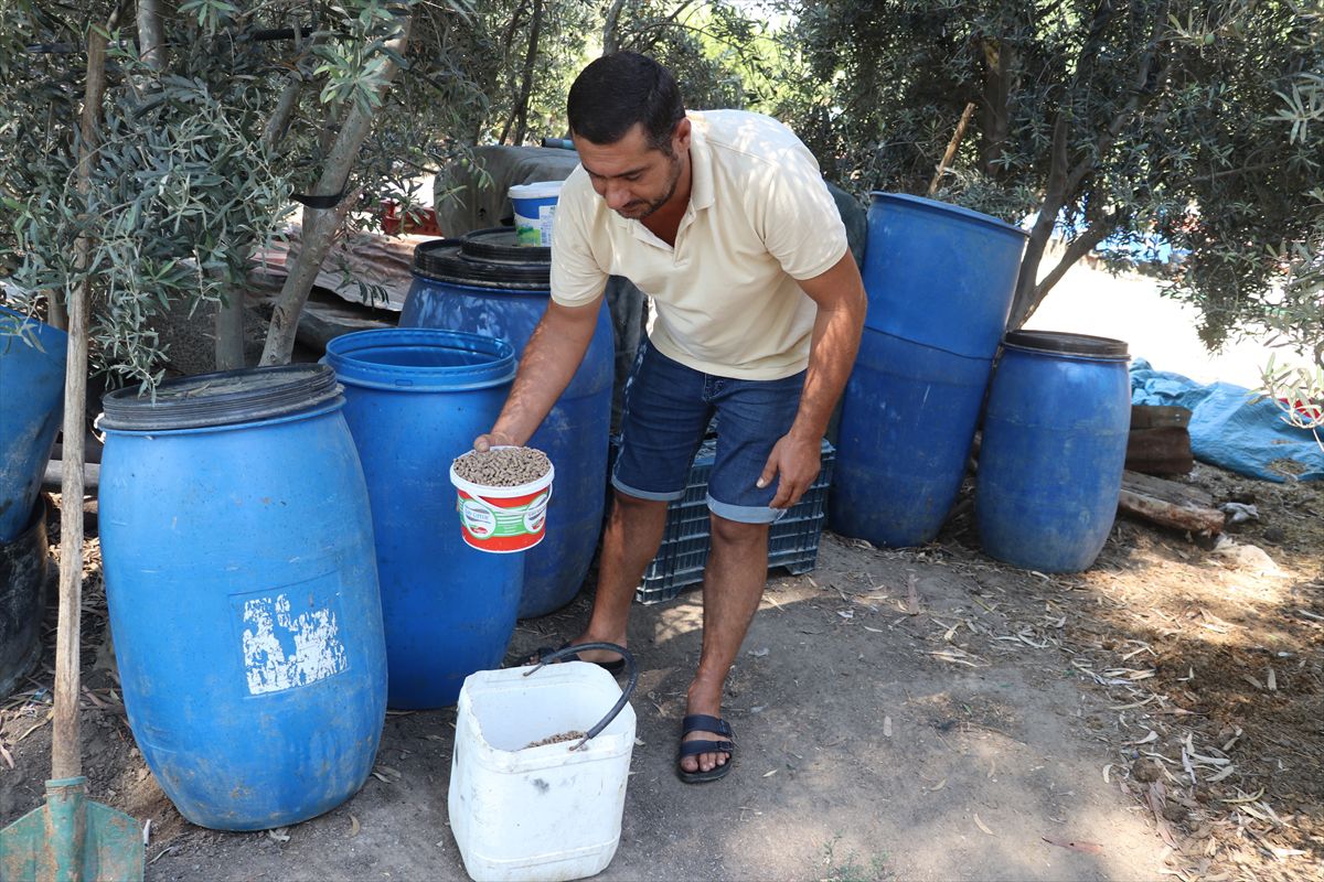 Adana'da 6 yıl sonra hayvancılığa dönüş: 18 büyükbaşla yeni başlangıç