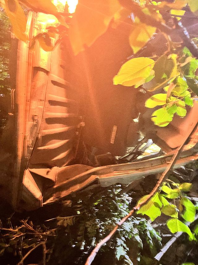 Search and rescue operations at cliff accident site