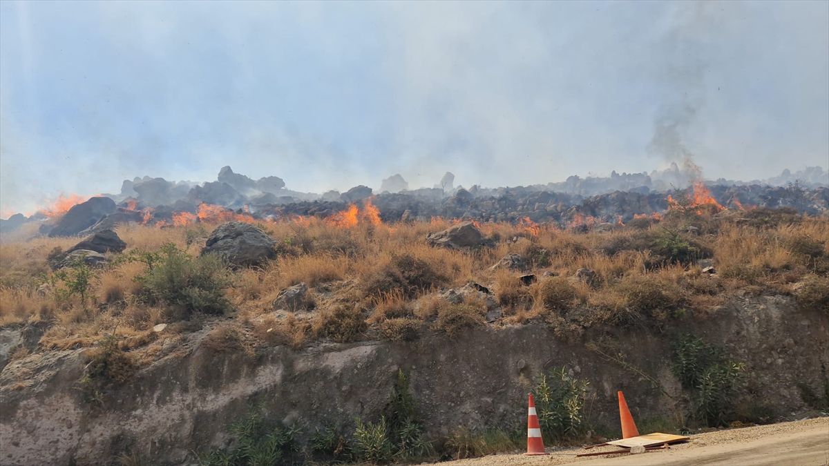 Bodrum'da otluk yangını söndürüldü