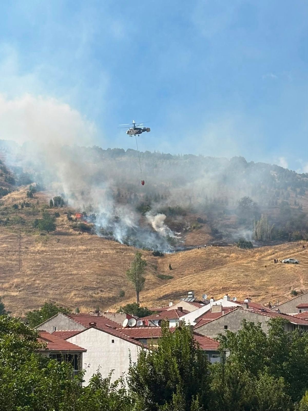 Bozüyük'te orman yangını kontrol altında