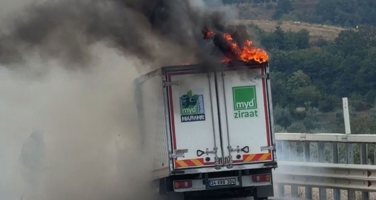 İznik'te Kamyonet Seyir Halindeyken Alev Aldı