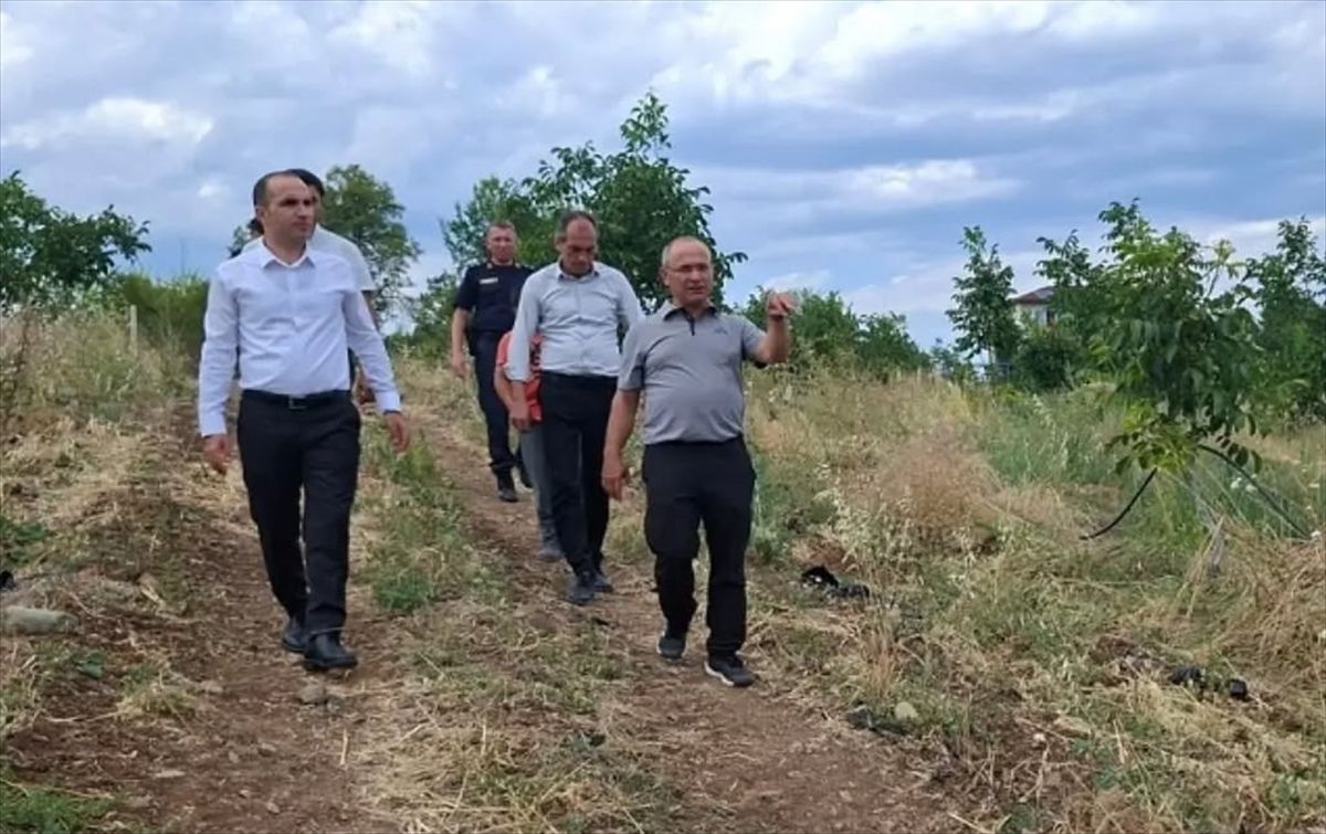 İskilip'te çilek ve ceviz üretiminde inceleme