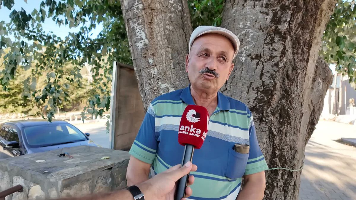 Isparta'da Buğday ve Arpa Hasadında Verim Arttı, Fiyatlar Beklentiyi Karşılamadı
