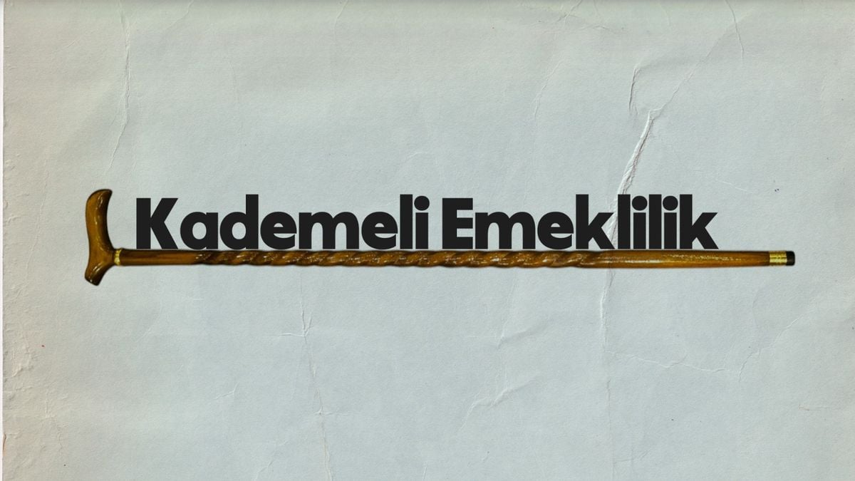 EMADDER: Kademeli emeklilik 4,5 milyon kişiyi kapsıyor, maliyeti yok