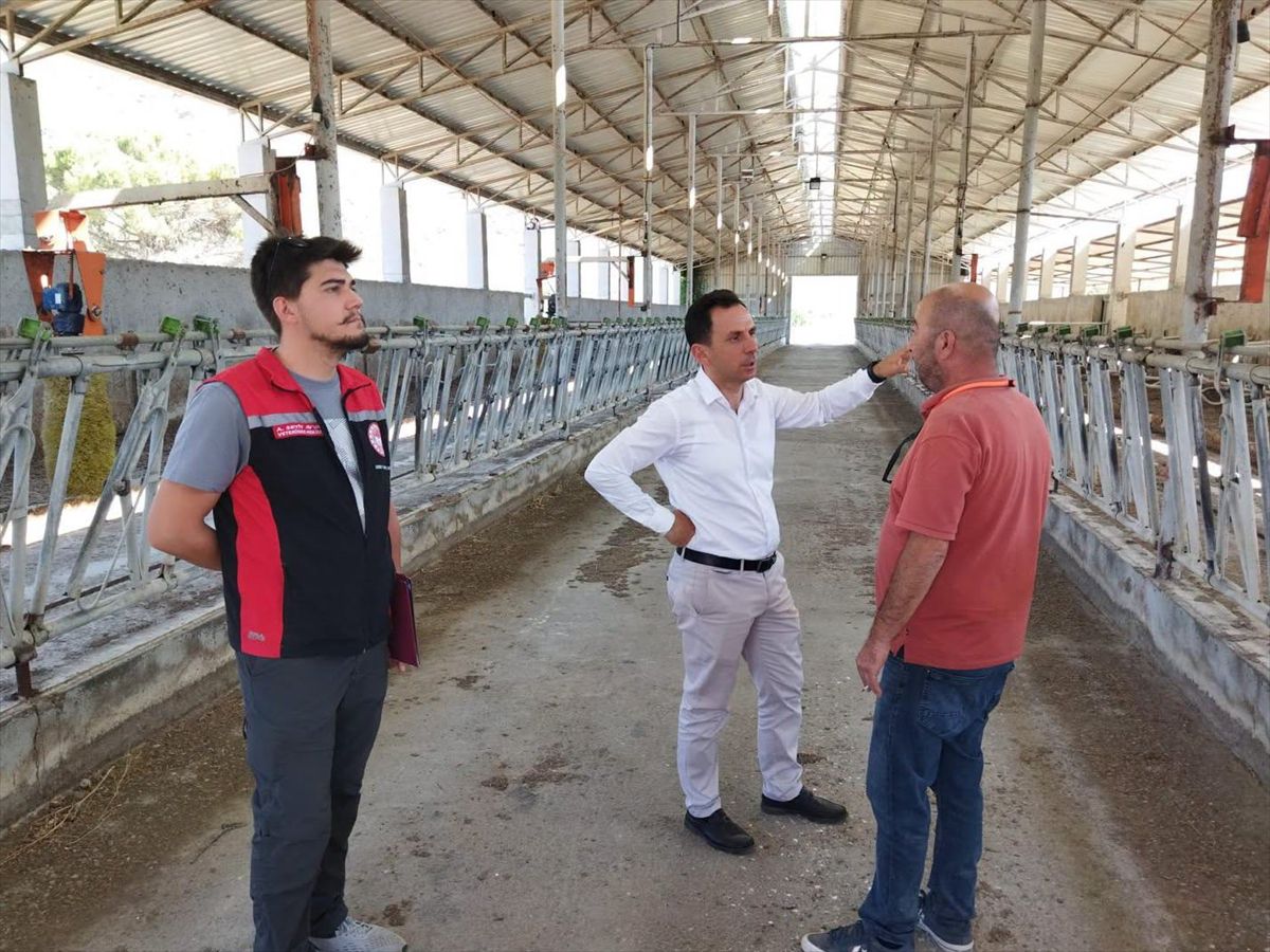 Kargı'da Damızlık Sığır İthalatı İçin İşletme Denetimi