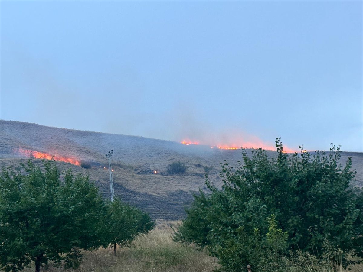 Malatya'da Otluk Yangını Söndürüldü