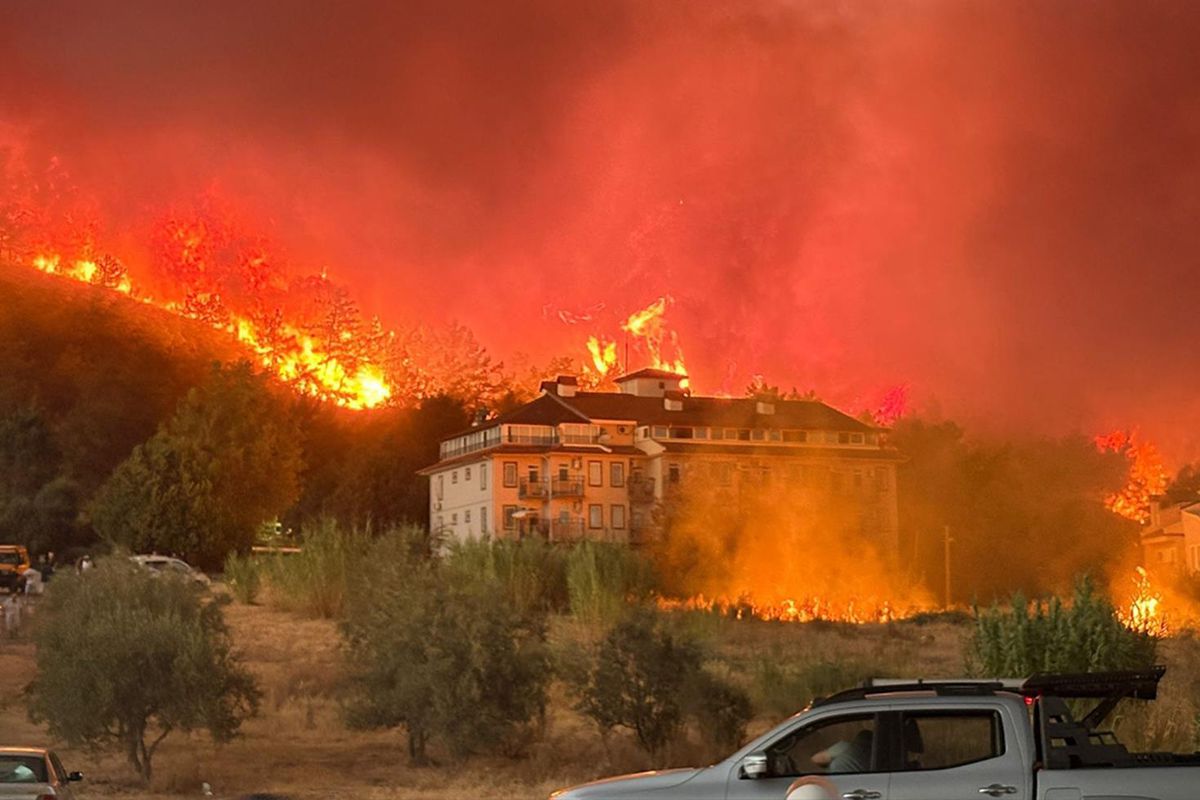 Muğla'nın Fethiye ilçesinde orman yangını