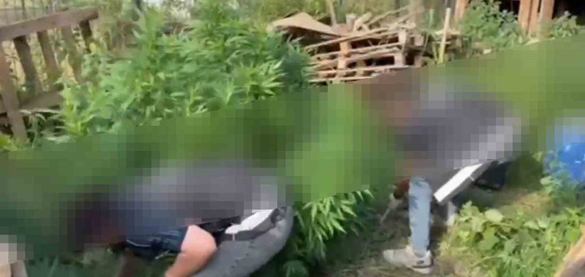 Sapanca'da Uyuşturucu Operasyonu: 2 Gözaltı