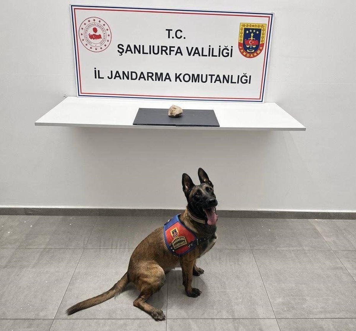Şanlıurfa'da Uyuşturucu Operasyonu: 500 Gram Sentetik Kannobinoid Ele Geçirildi, 1 Tutuklama