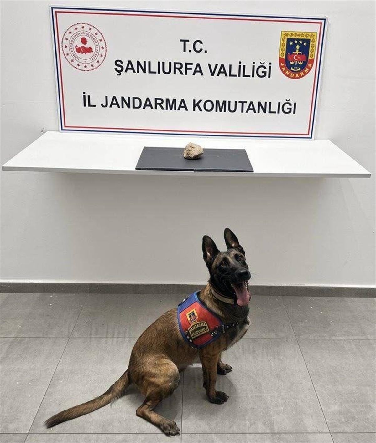 Eyyübiye'de uyuşturucu operasyonu: 1 tutuklama