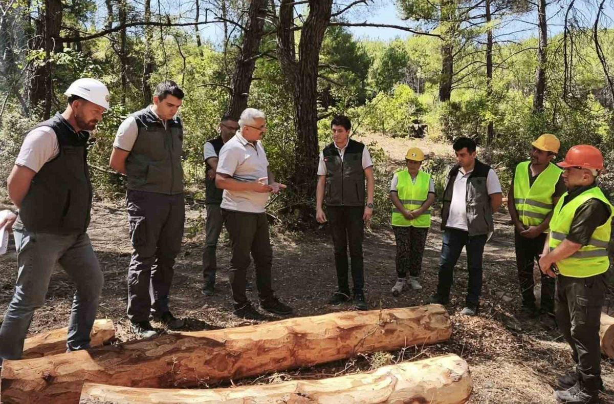 Orman Bölge Müdürü Yılmaz, Soma'daki Yangın Önleme Çalışmalarını Yerinde İnceledi