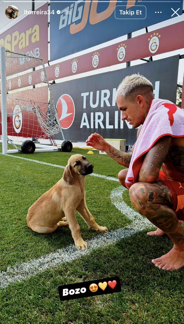 uraz kaygilaroglunun torreira 41182759 4029 1 m
