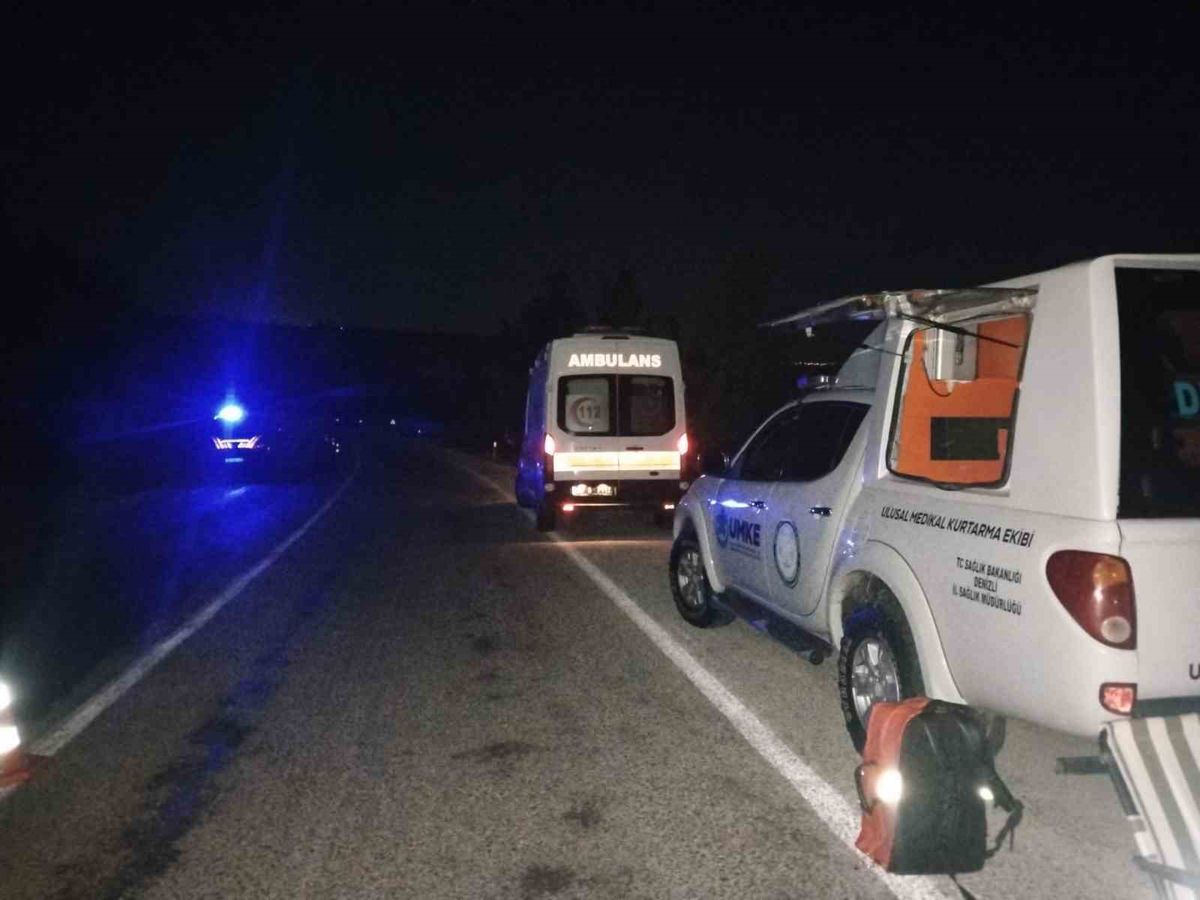 Denizli'de Yabani Hayvana Çarpan Araç Şarampole Uçtu: Sürücü Kayıp