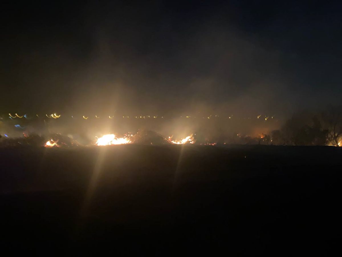 Serik'te Yangın Zeytinliğe Sıçradı