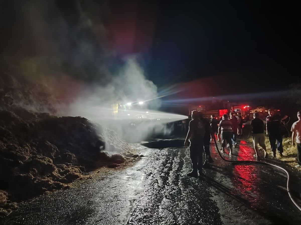 Çine'de Saman Yüklü Tırda Yangın