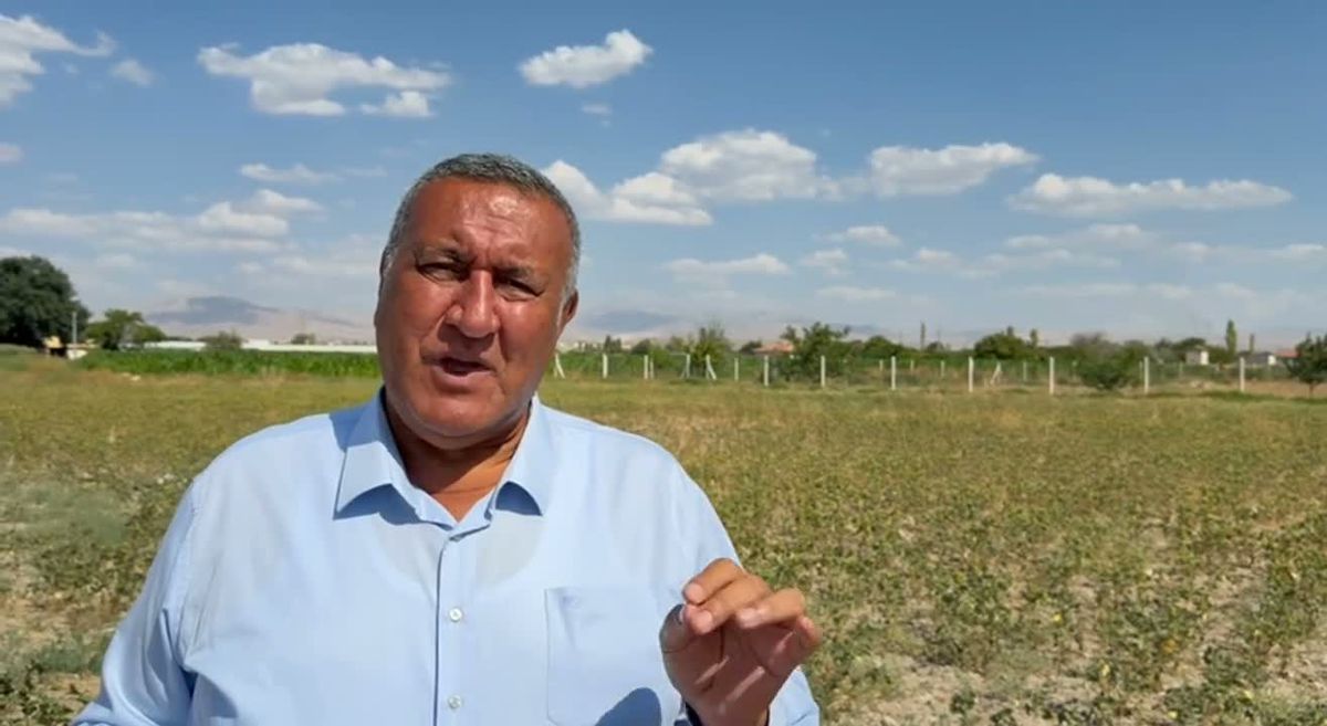 CHP'li Gürer: Baklagillerde ithale mecbur kalmamızın nedeni yanlış tarım politikaları