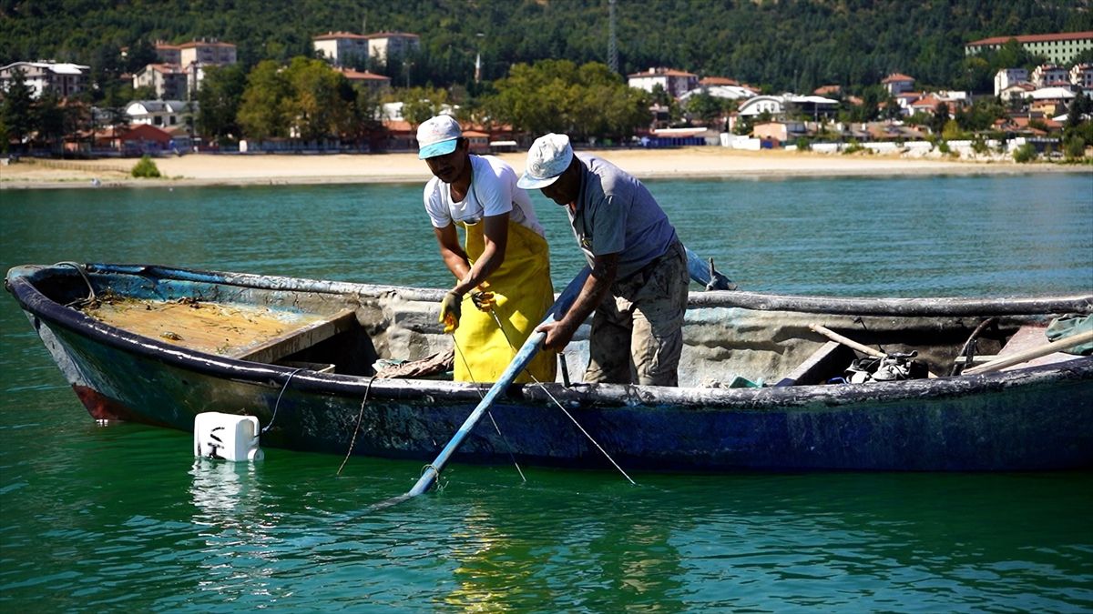 Eğirdir Gölü'nde Kerevit Sezonu: Bin Üreticiye Geçim Kaynağı