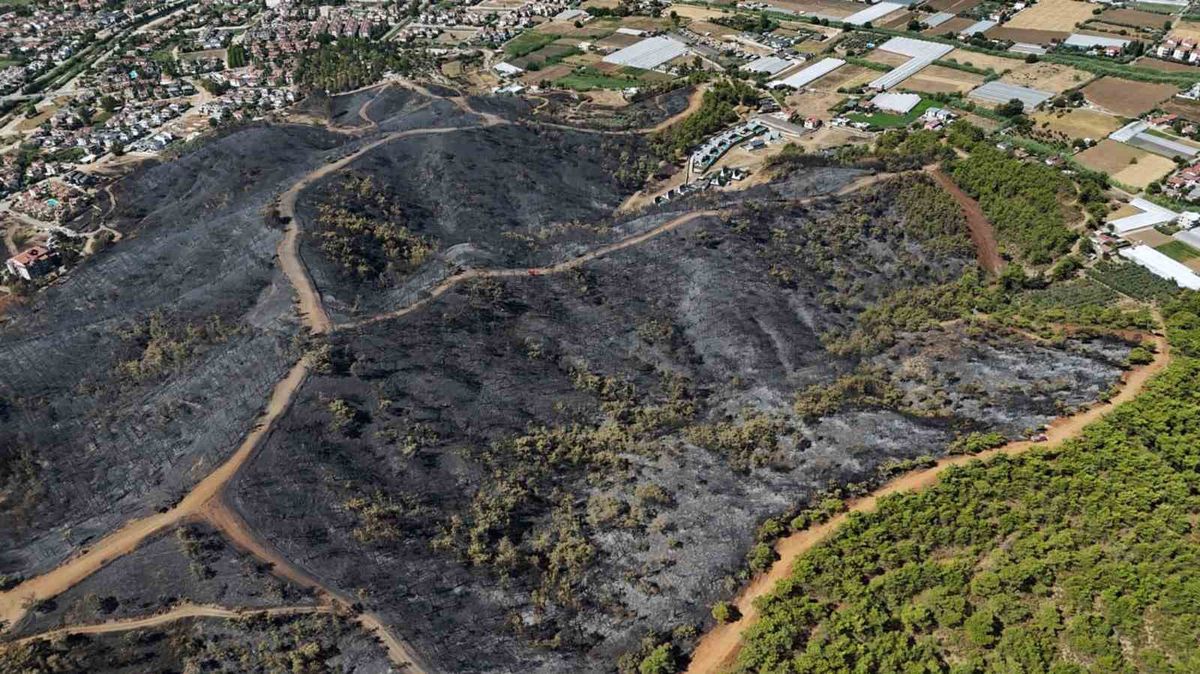 Fethiye'de orman yangını: Yeşil alan küle döndü