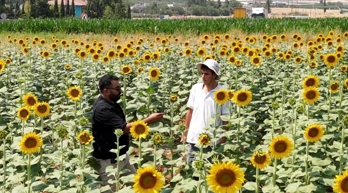 GAP ile Şanlıurfa'da tarım dönüştü: Ürün çeşitliliği arttı