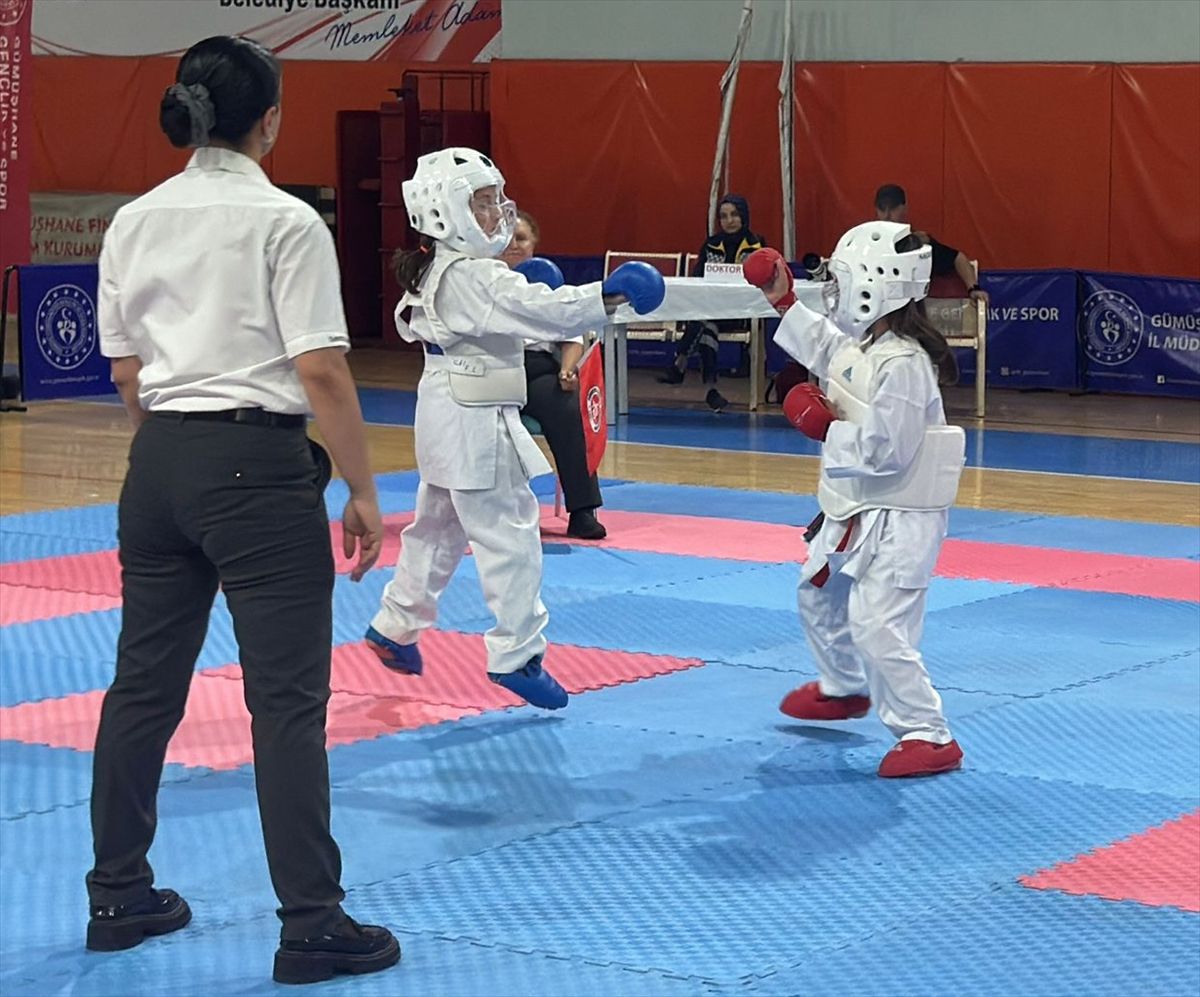 Gümüşhane'de Zafer Bayramı Karate Turnuvası
