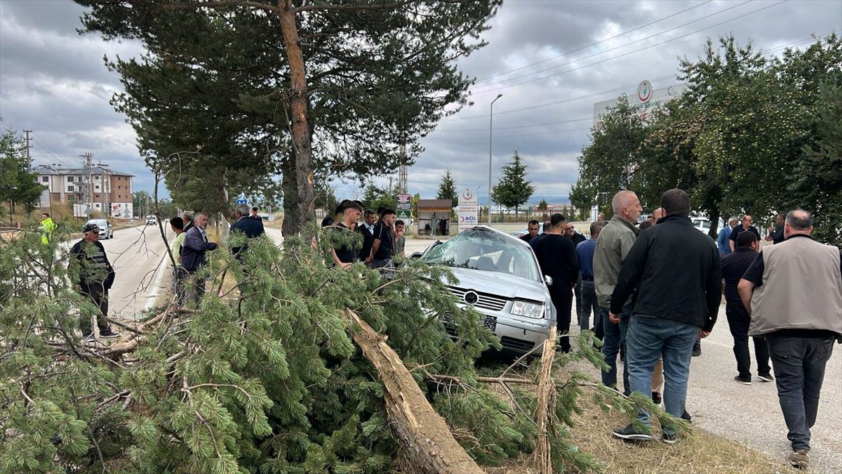 Kastamonu'da Otomobil Ağaca Çarptı: 3 Yaralı