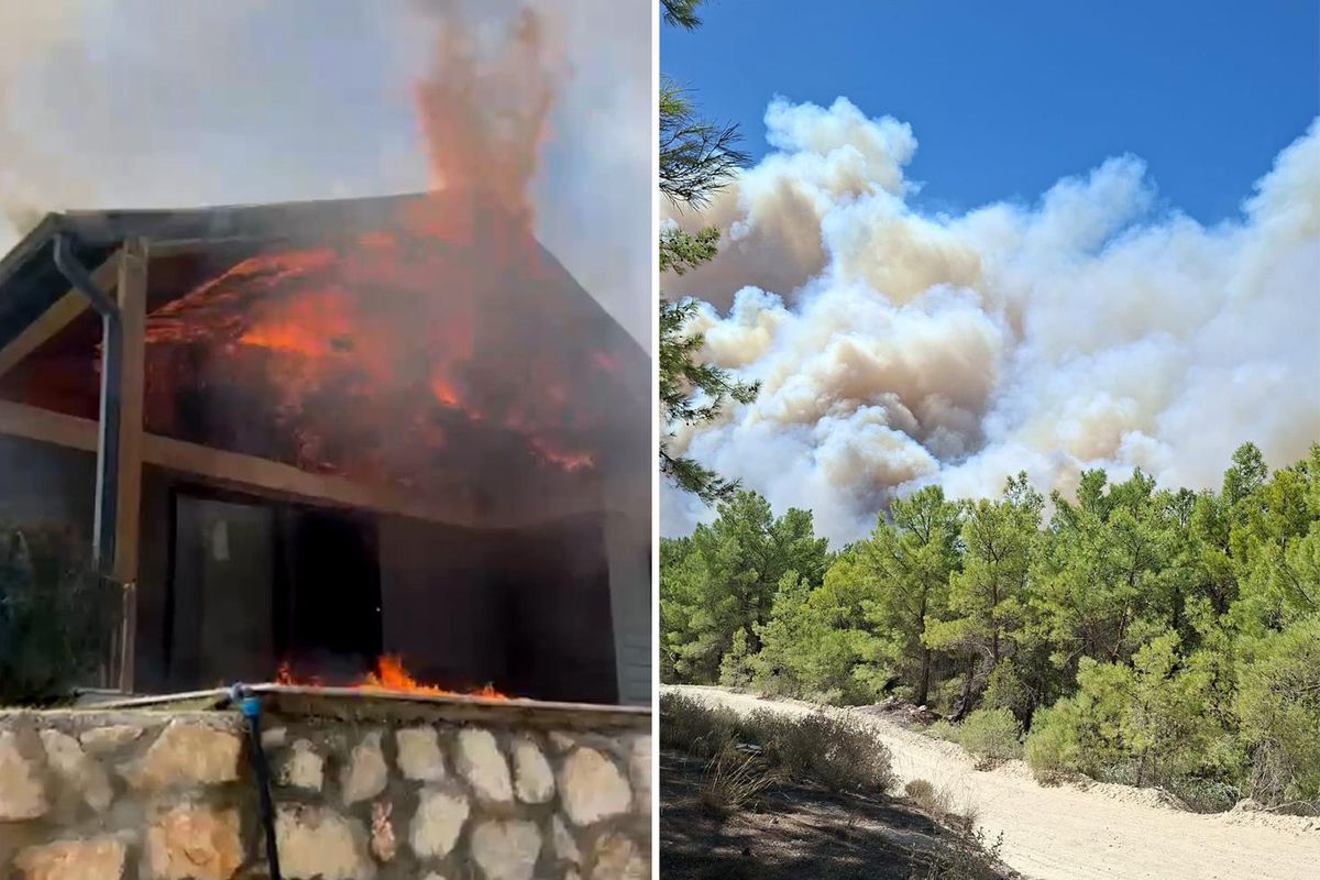 Muğla'da başlayan orman yangını Antalya'ya sıçradı! Bazı evler alevlere teslim