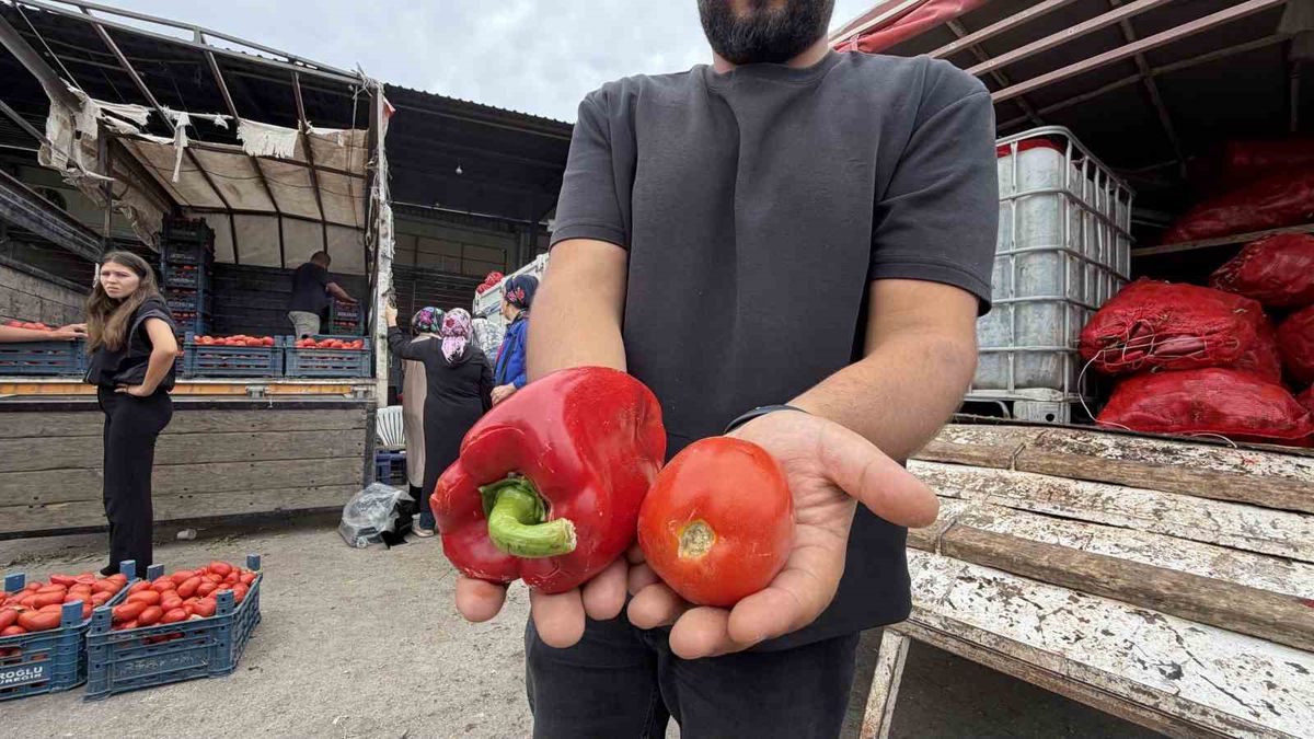 Osmaniye'de Kışlık Hazırlık Telaşı: Salçalık Biber ve Domates Fiyatları Uygun
