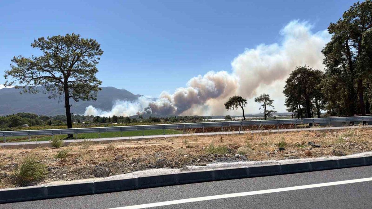 Muğla'da yangın ormana sıçradı, Antalya'ya ilerliyor