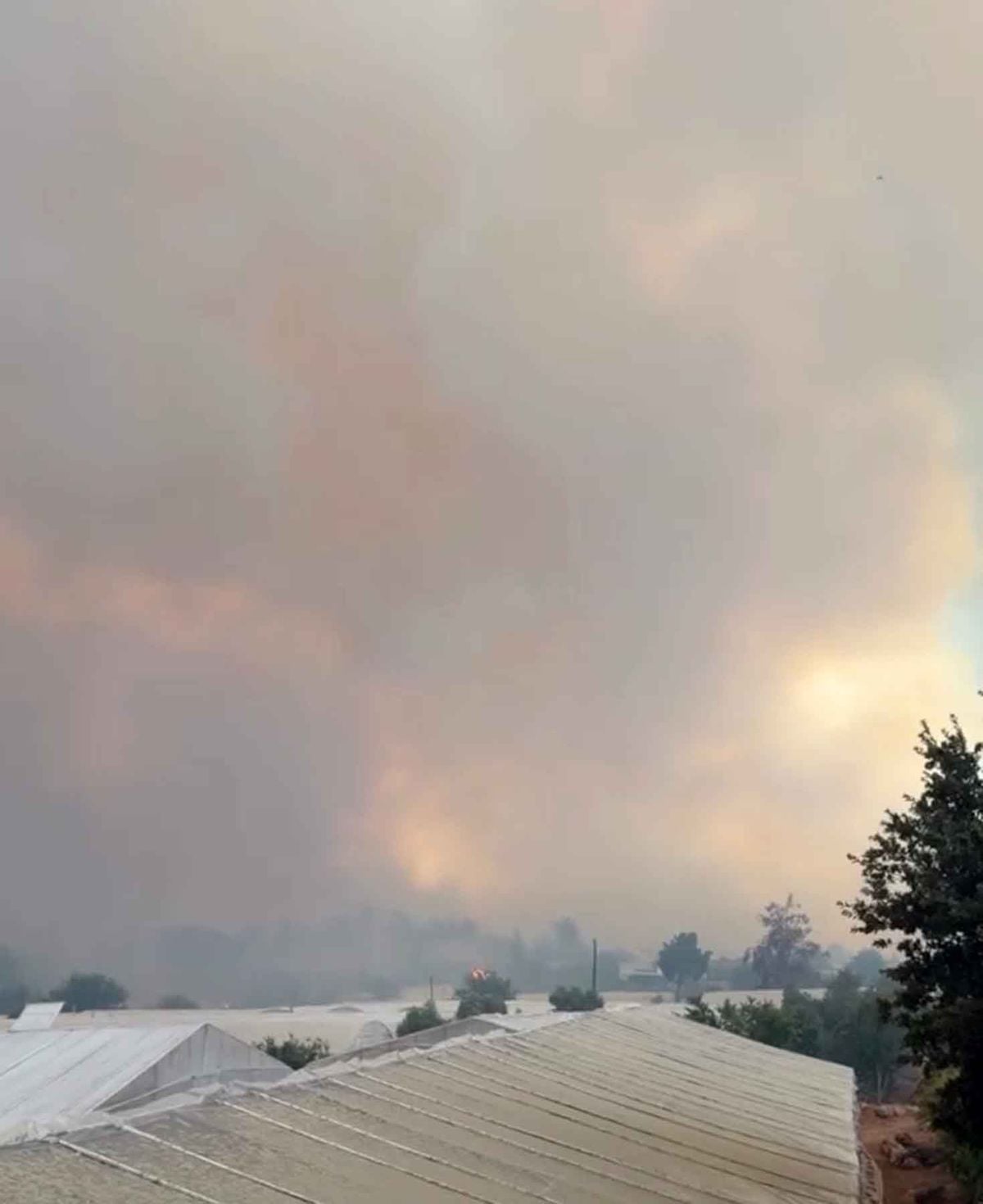 Muğla'dan Yayılan Orman Yangınına Müdahale Sürüyor