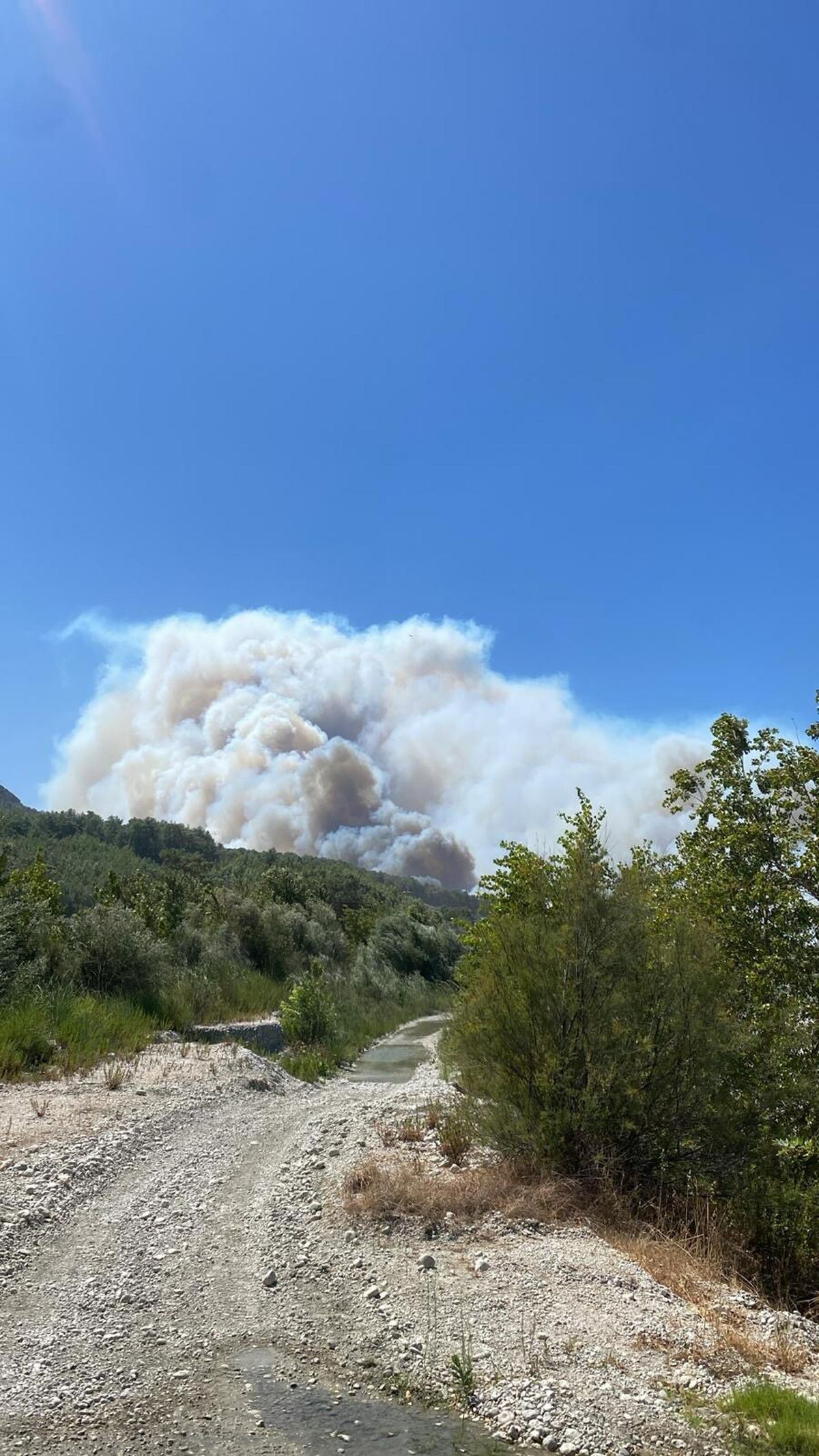 Seydikemer'deki yangın Antalya'nın Kaş ilçesindeki ormana sıçradı