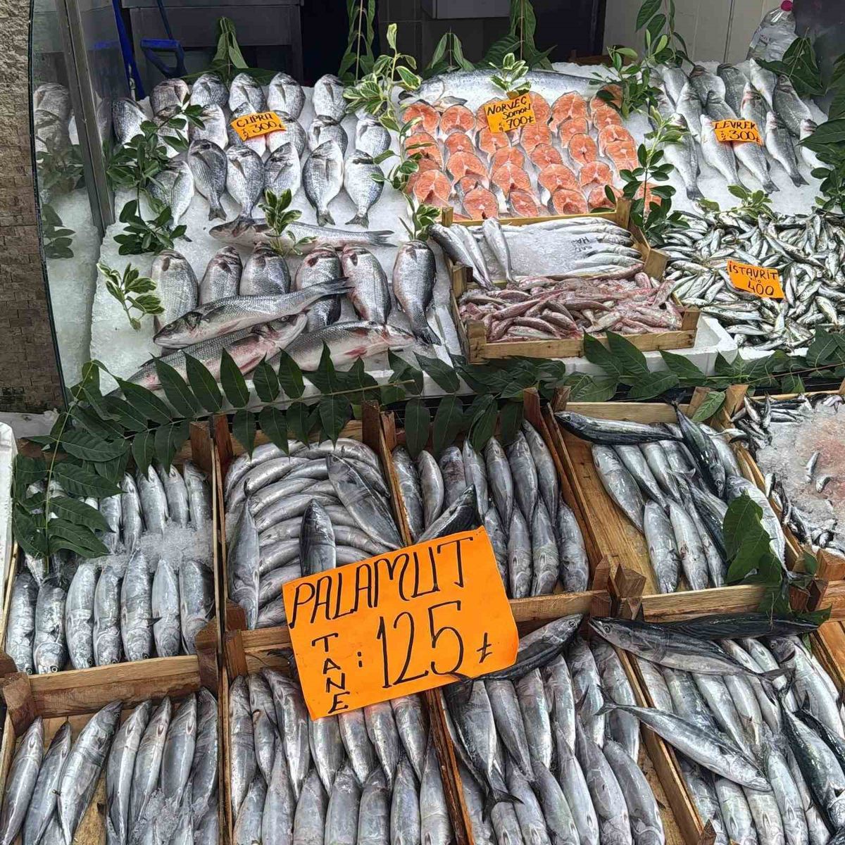 Palamut tezgahlarda yüz güldürüyor: Tanesi 125 TL