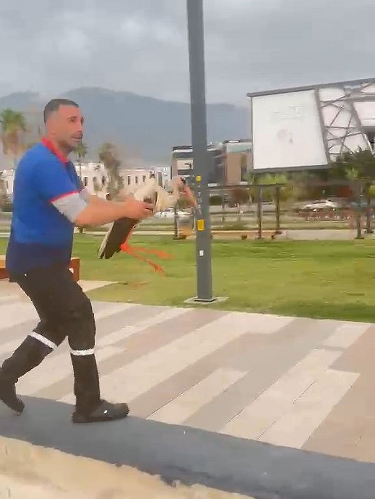 Temizlik Görevlisi Yaralı Leyleği Denizden Kurtardı
