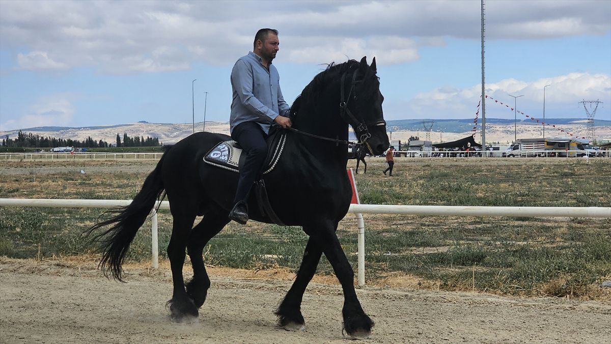 Afyonkarahisar'da Zafer Kupası Rahvan At Yarışları Başladı