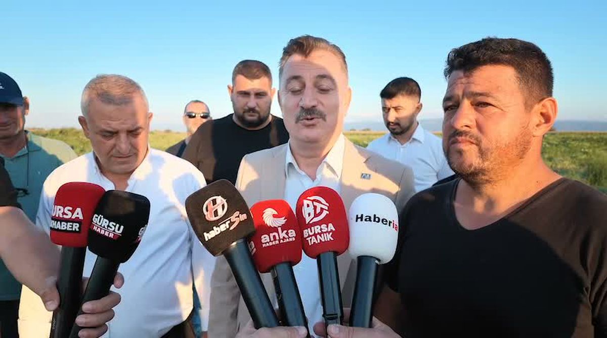 Bursalı karpuz üreticisi: Bu yıl karpuzumuz tarlada kaldı