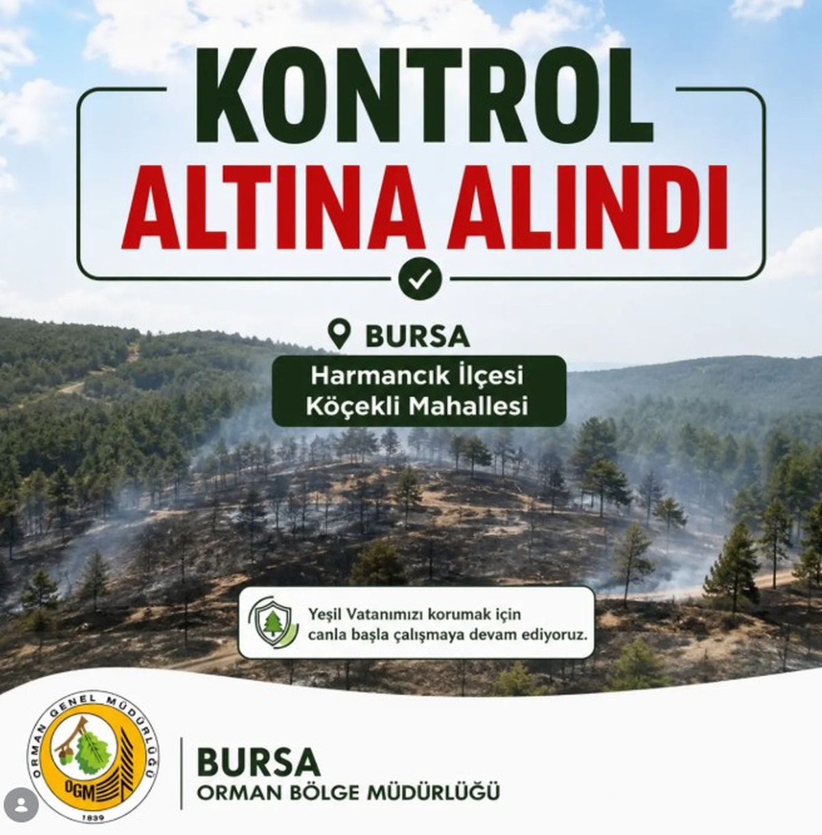 Bursa'da orman yangını