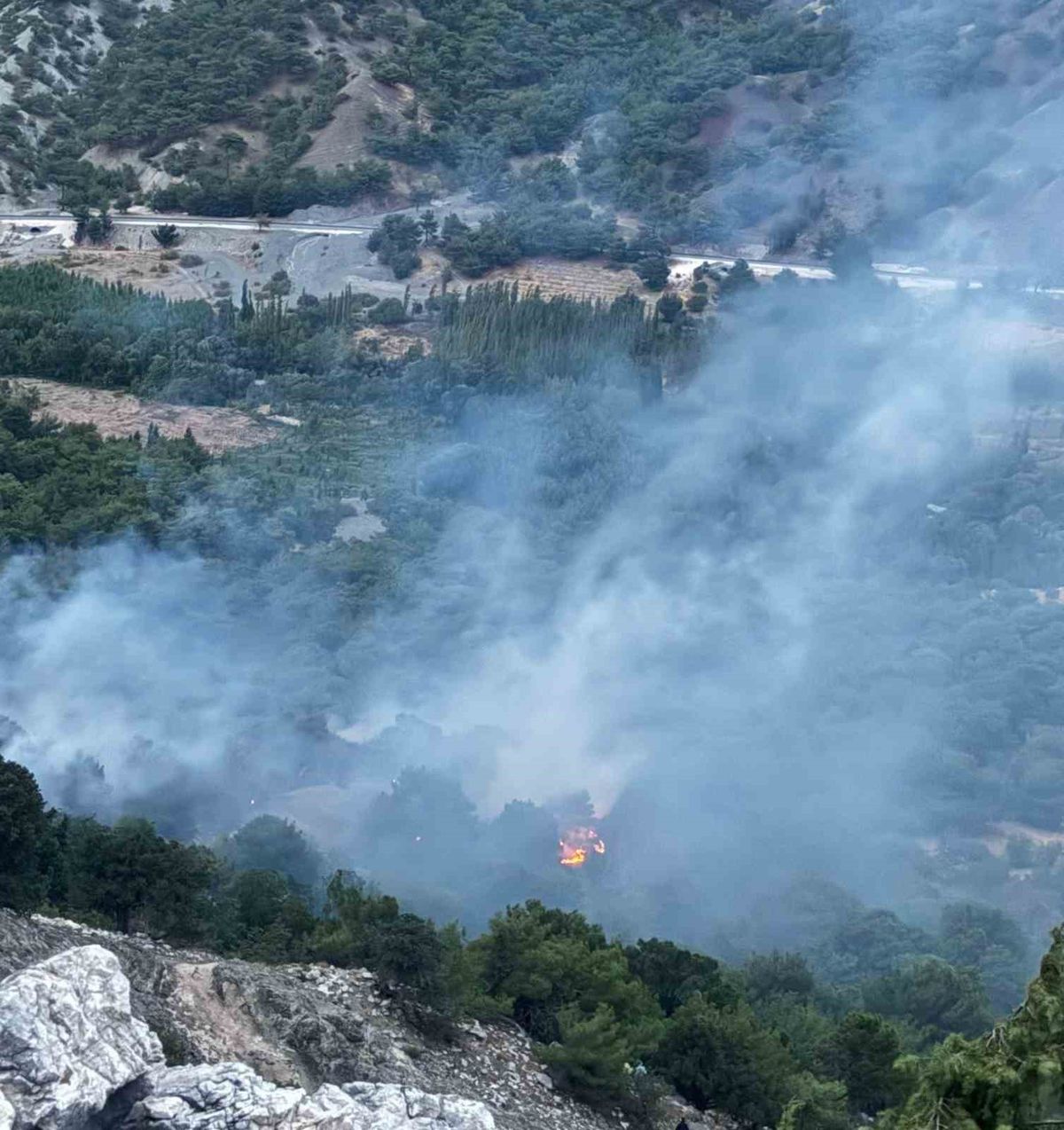 Adıyaman'da Yıldırım Kaynaklı Orman Yangını Söndürüldü