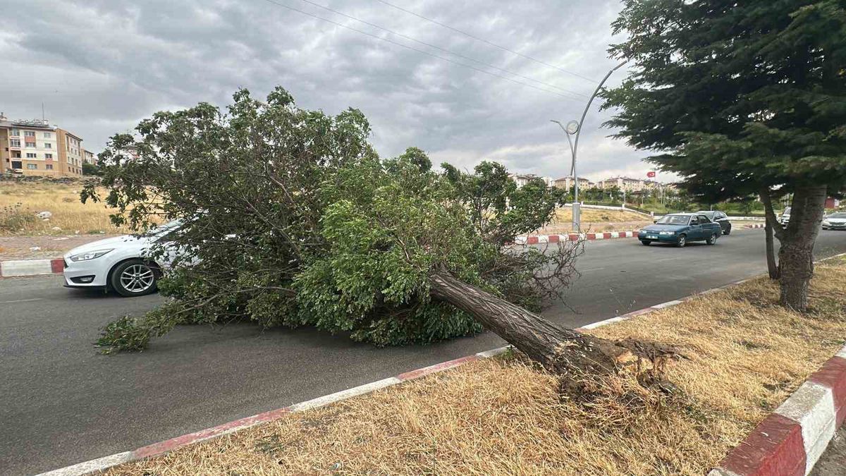 Van'da Fırtına Ağaçları Söktü, Trafik Aksamaları Yaşandı